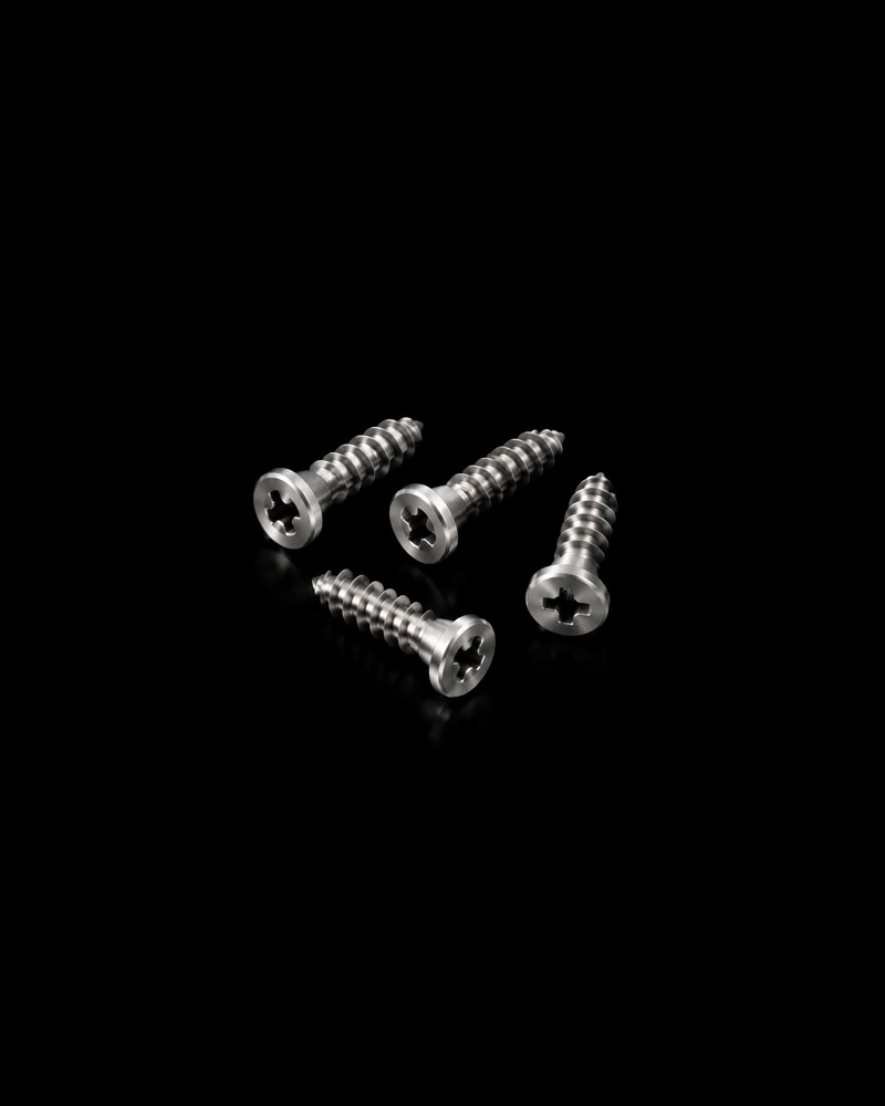 Screws. Tiny screws hold each plate to the bone.
